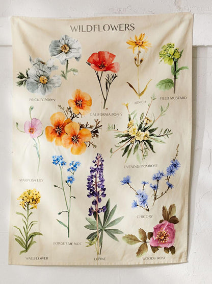 Wildflowers plant wallpaper