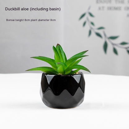 Artificial Green Plant Succulent Artificial Plant Home Furnishings