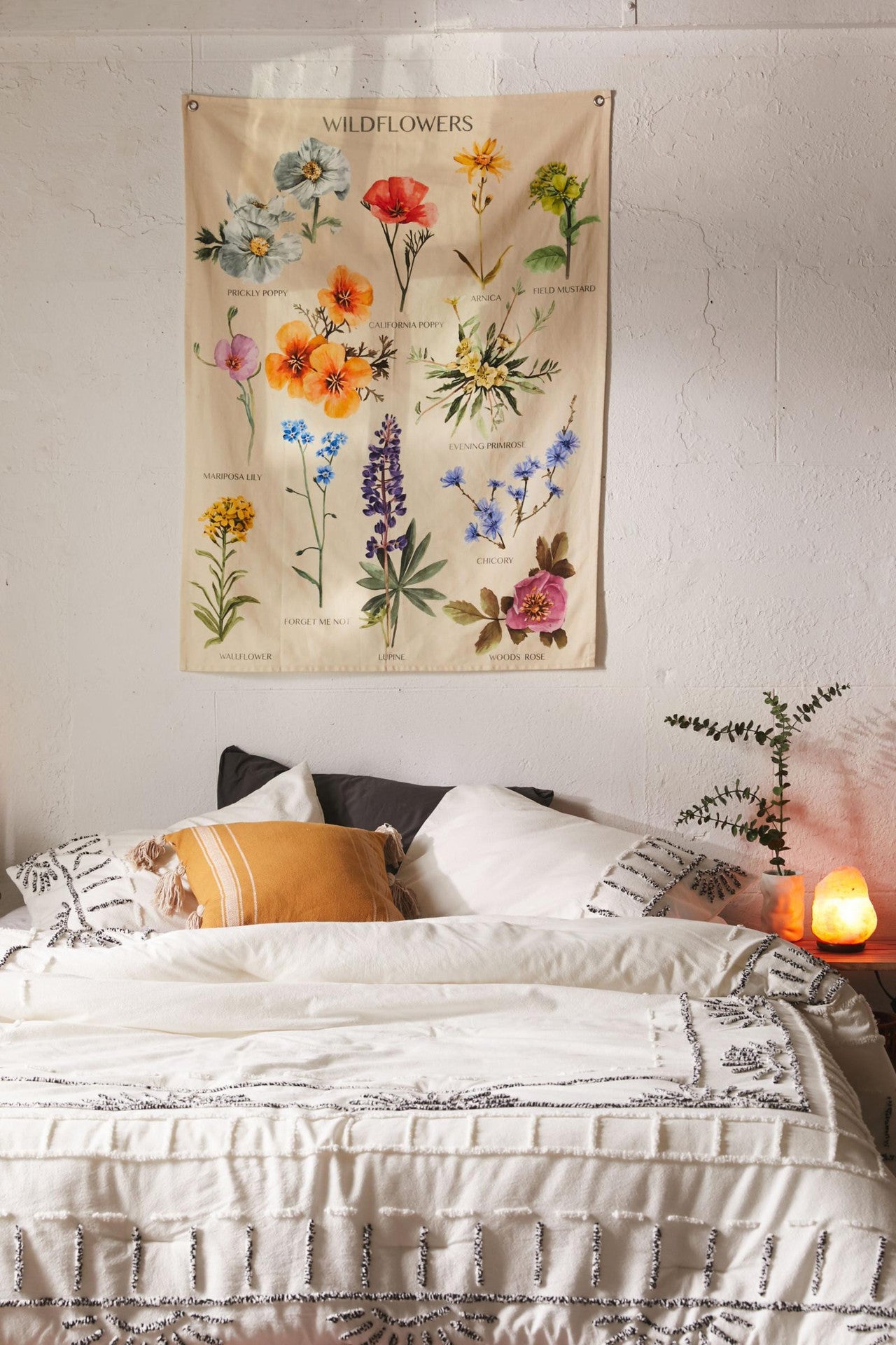 Wildflowers plant wallpaper