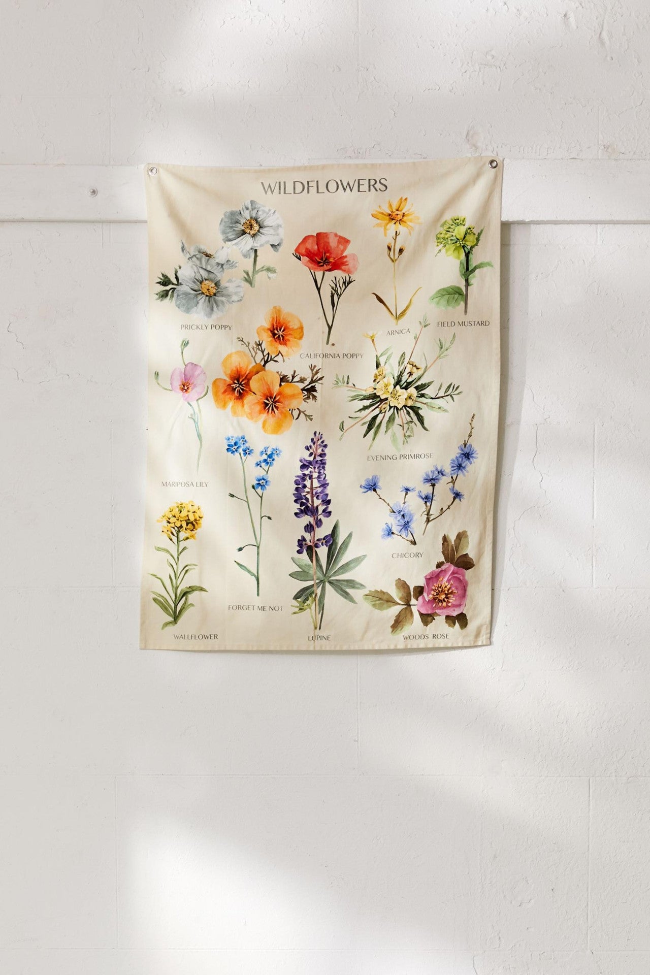 Wildflowers plant wallpaper